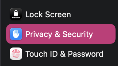 The System Settings sidebar with Privacy and Security highlighted